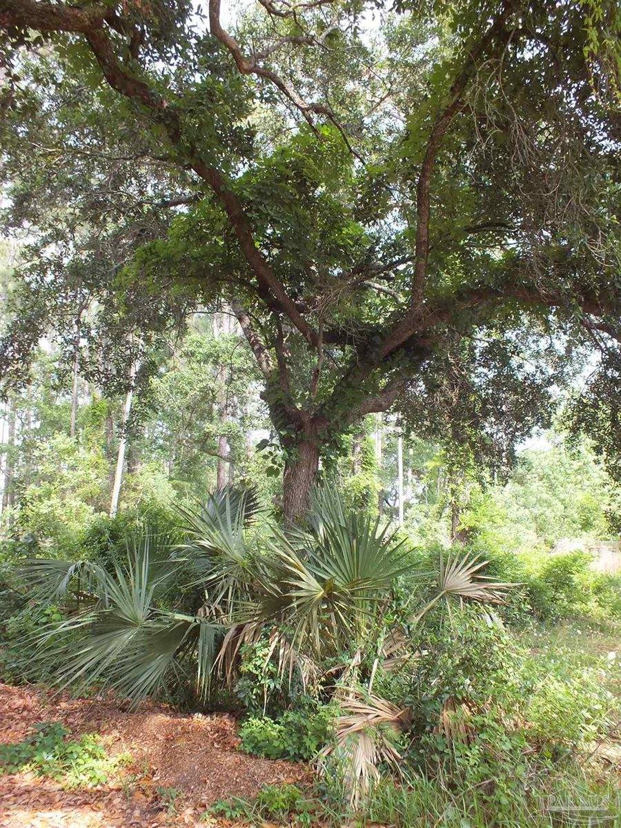 000 Eventide Rd, Milton, FL 32583