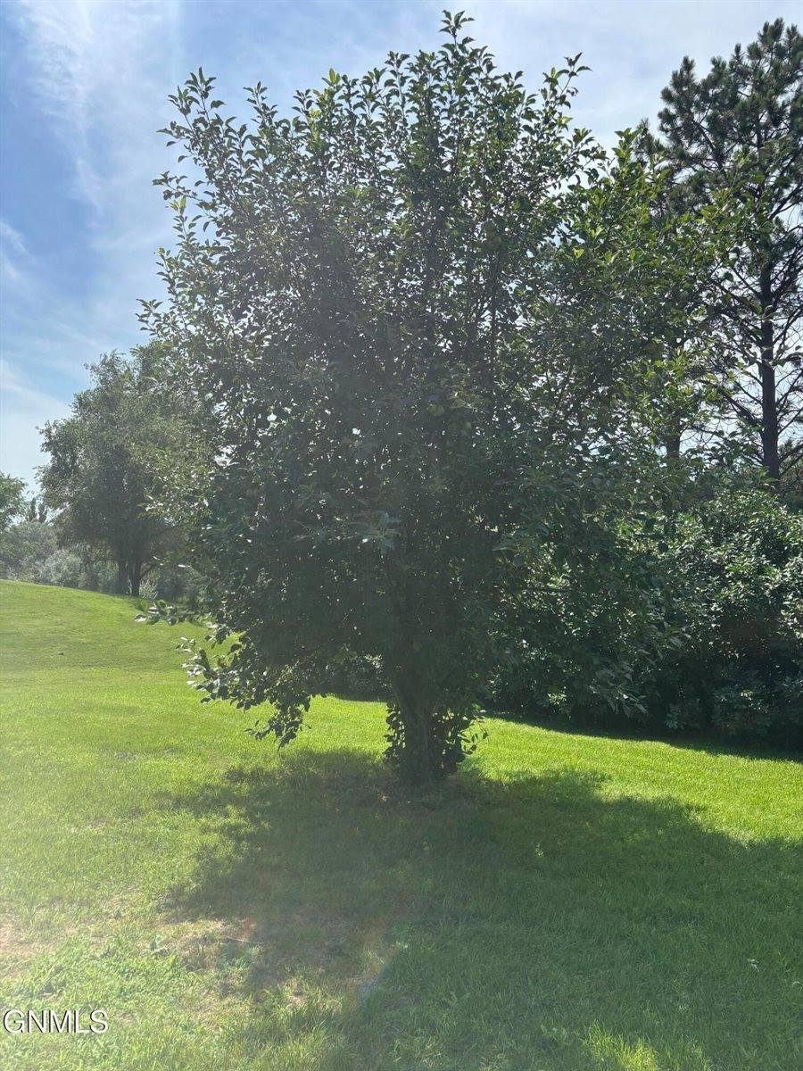 2815 9th Avenue East, Williston, ND 58801