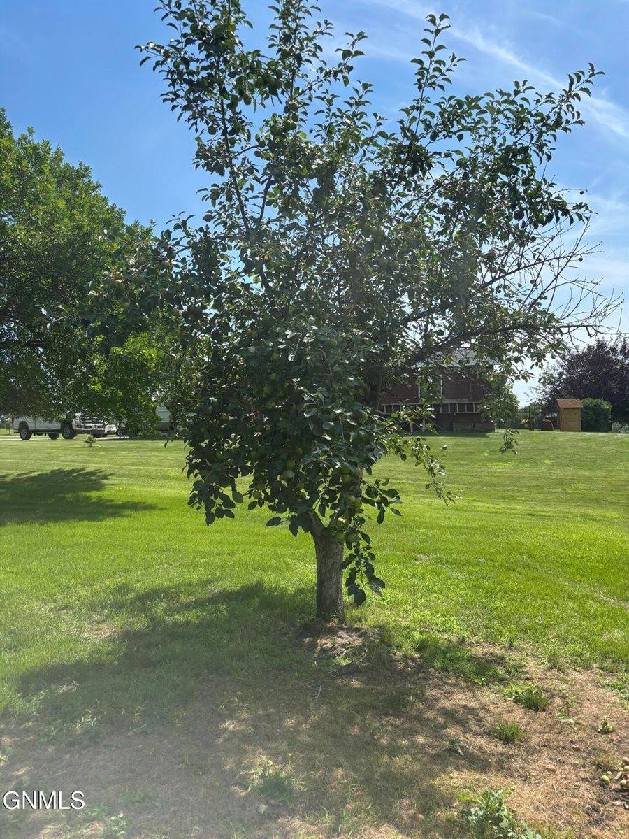 2815 9th Avenue East, Williston, ND 58801