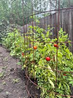 517 4th Avenue East, Williston, ND 58801