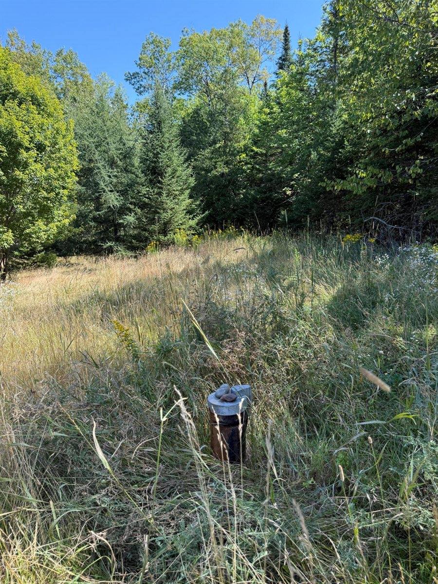 39 Burleigh Road, Stetson, ME 04488