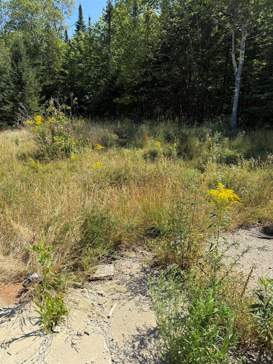 39 Burleigh Road, Stetson, ME 04488