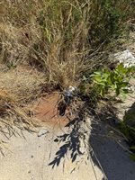 39 Burleigh Road, Stetson, ME 04488