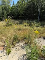 39 Burleigh Road, Stetson, ME 04488