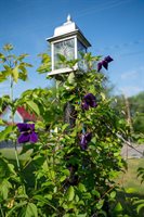 17 Main Street, Bradley, ME 04411