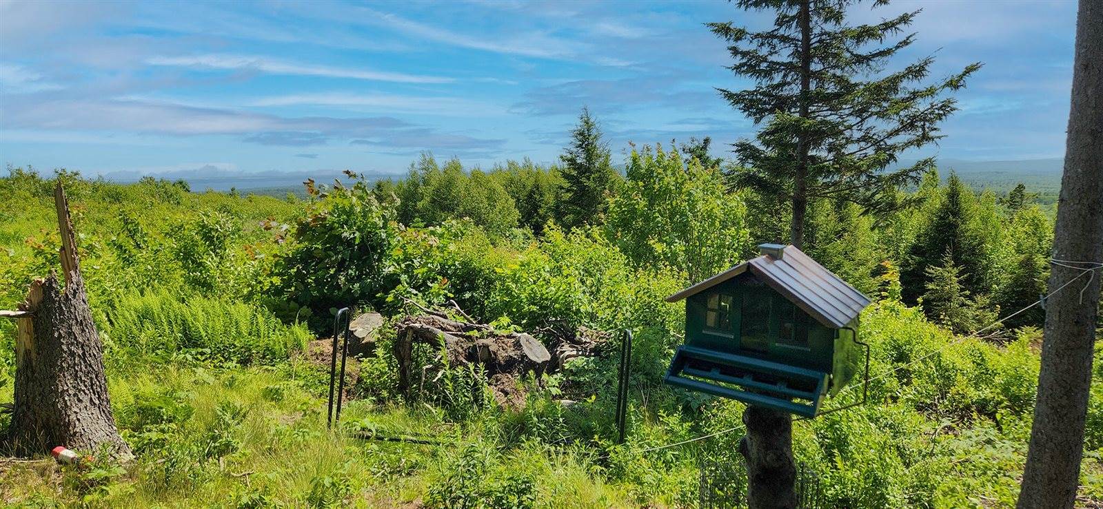 Address Not Available, Searsport, ME 04474