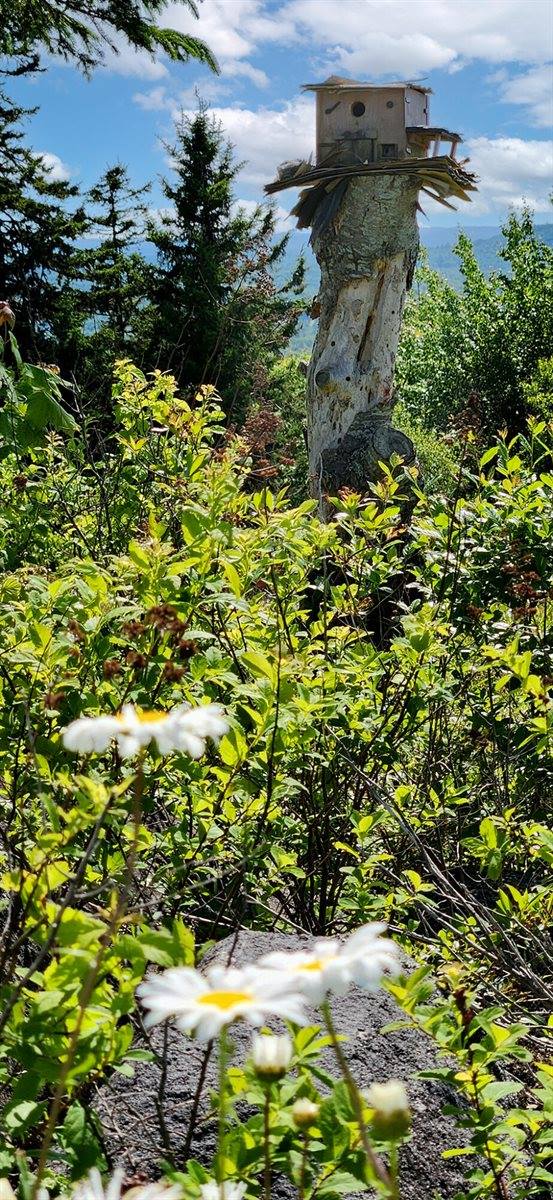 Address Not Available, Searsport, ME 04474