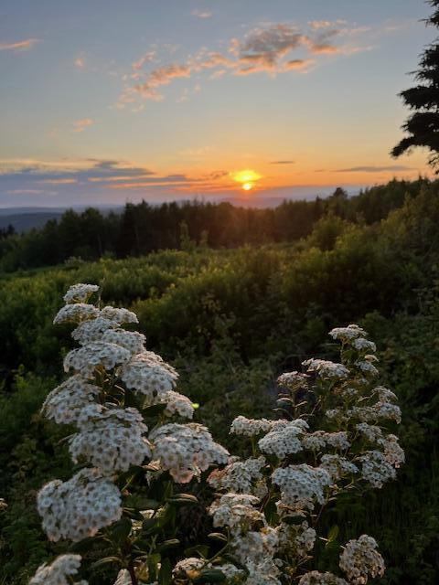 Address Not Available, Searsport, ME 04474