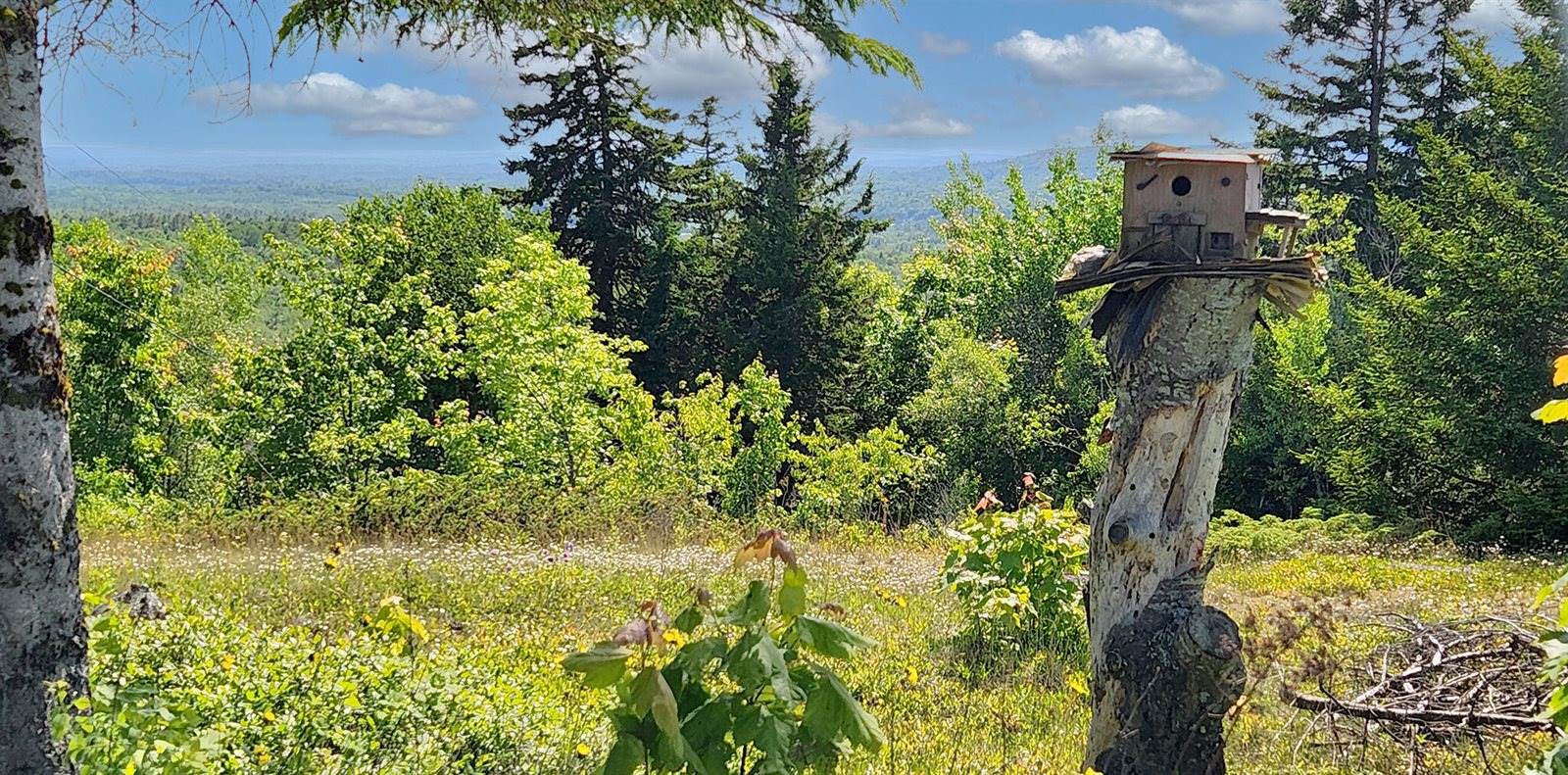 Address Not Available, Searsport, ME 04474