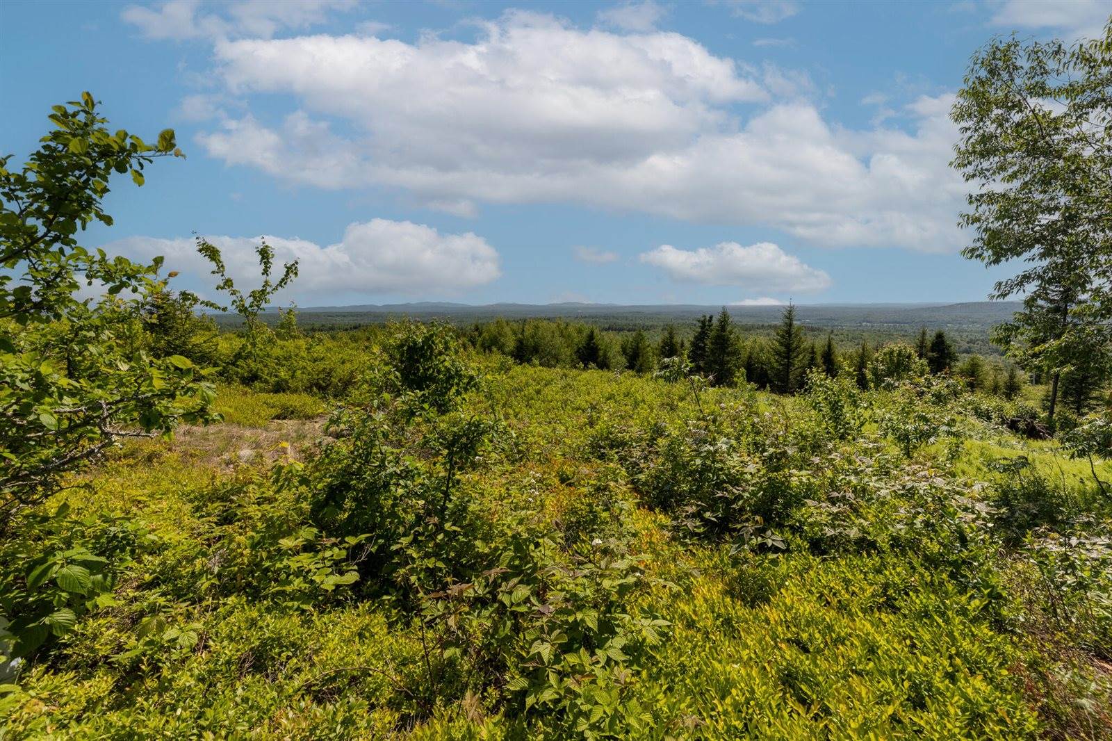 Address Not Available, Searsport, ME 04474