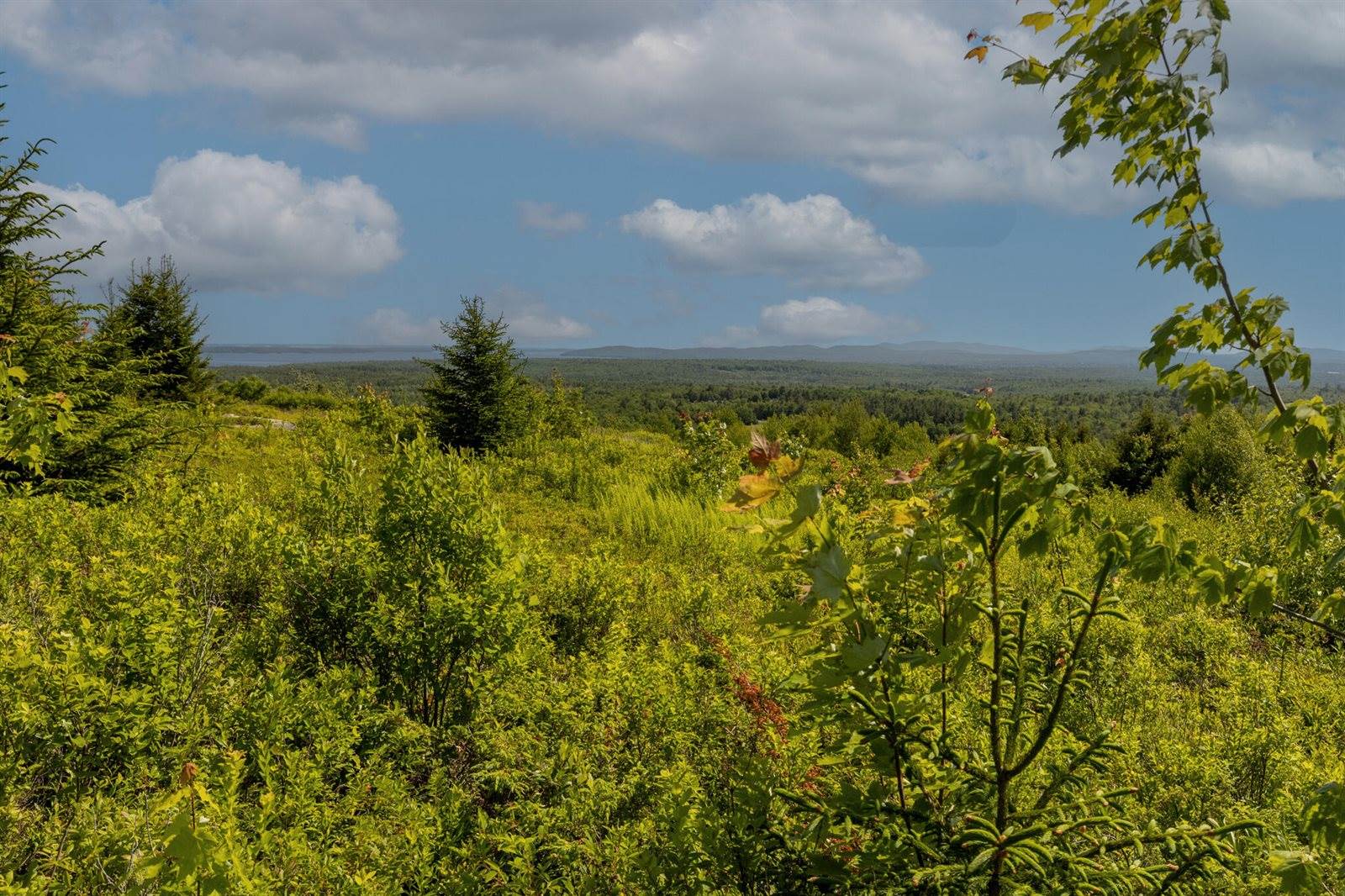 Address Not Available, Searsport, ME 04474