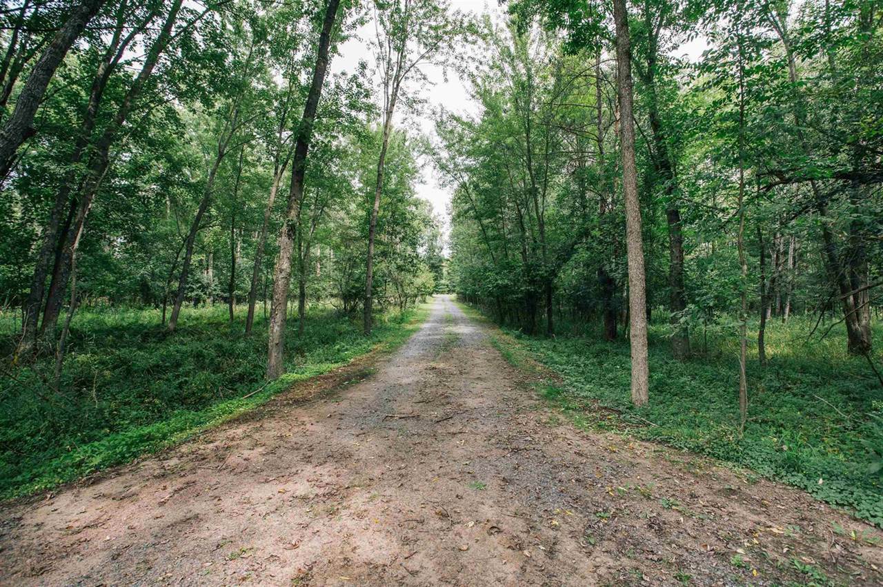 W6105 Sladich Road, Greenwood, WI 54437