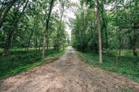 W6105 Sladich Road, Greenwood, WI 54437