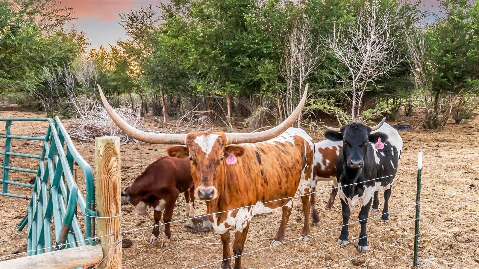 225 Meeka Court, Grand Junction, CO 81503