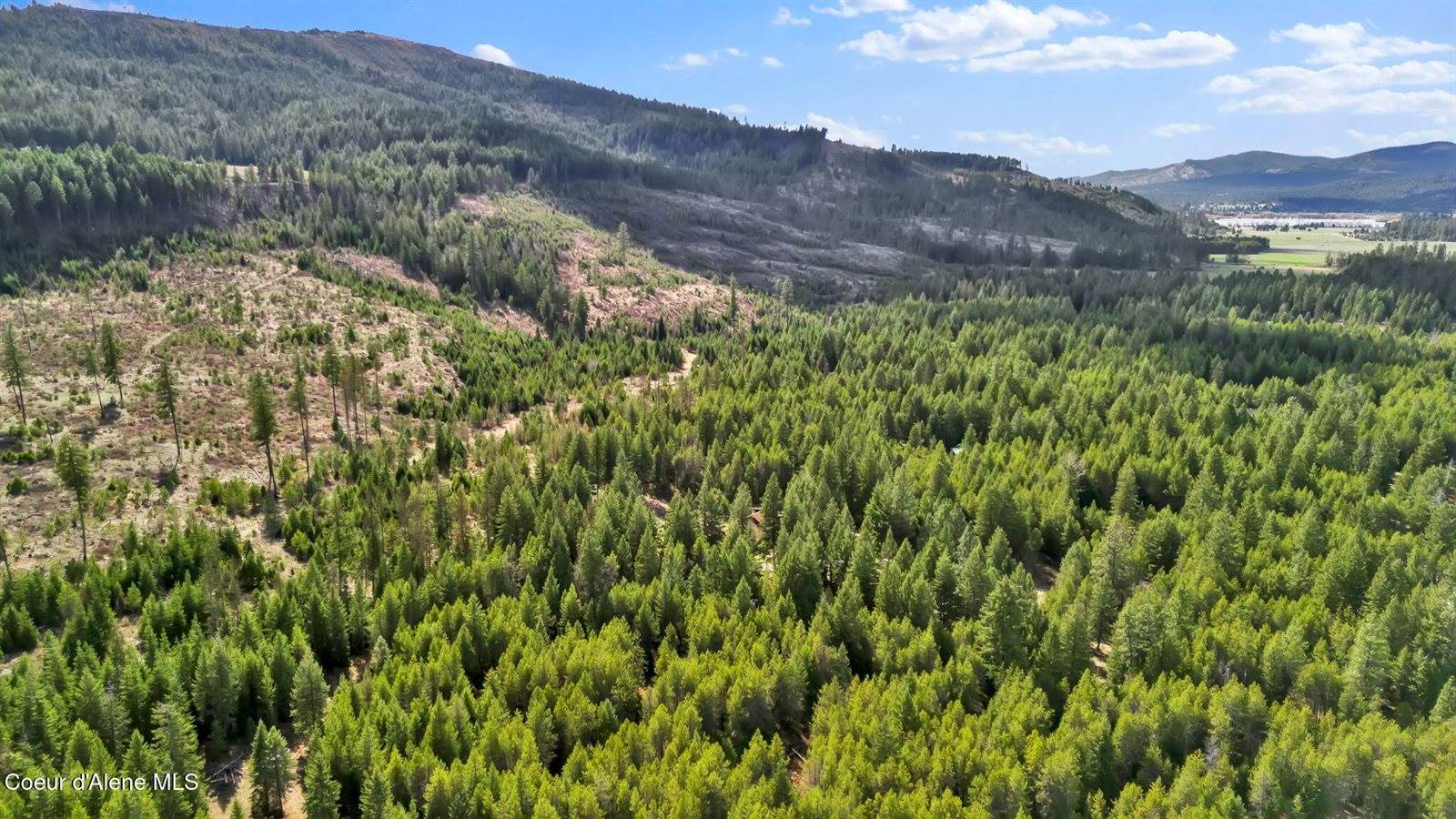 181 Deer Meadow Ln, Blanchard, ID 83804