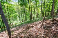 121 Seven Oaks Drive, Lynchburg, VA 24502