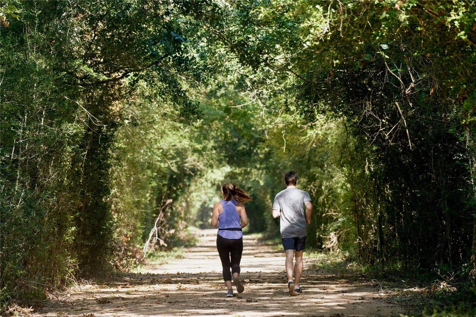 18402 Circle Bar Ranch Court, Cypress, TX 77433