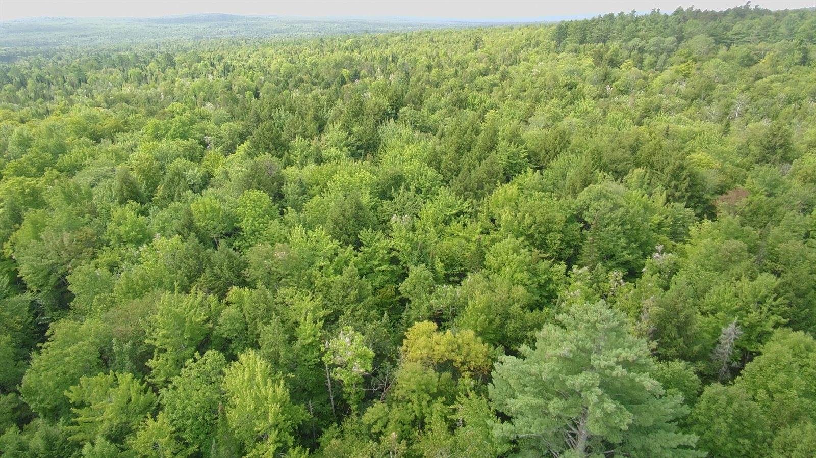 796 Silvers Mills Road, Sangerville, ME 04479