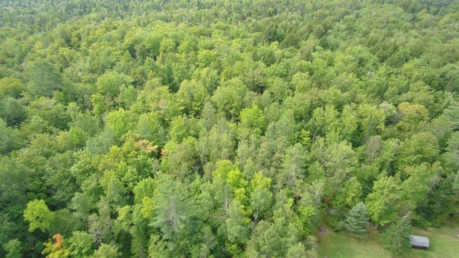 796 Silvers Mills Road, Sangerville, ME 04479