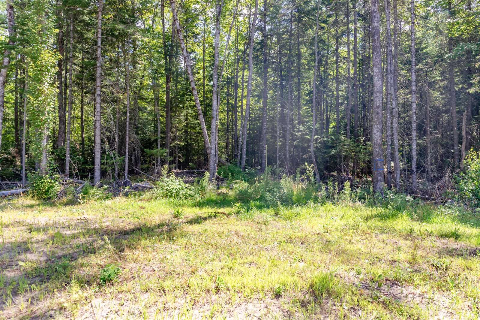 51 Fothingill Road, Greenbush, ME 04418