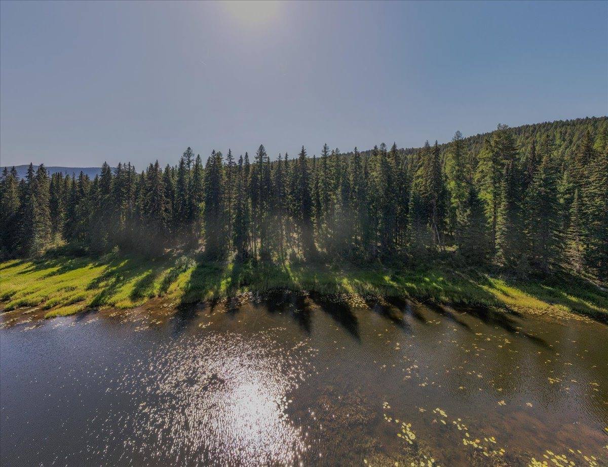 1455 Old Tally Lake Road, Whitefish, MT 59937