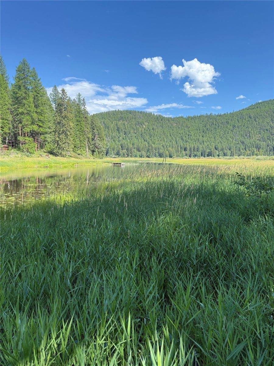 1455 Old Tally Lake Road, Whitefish, MT 59937