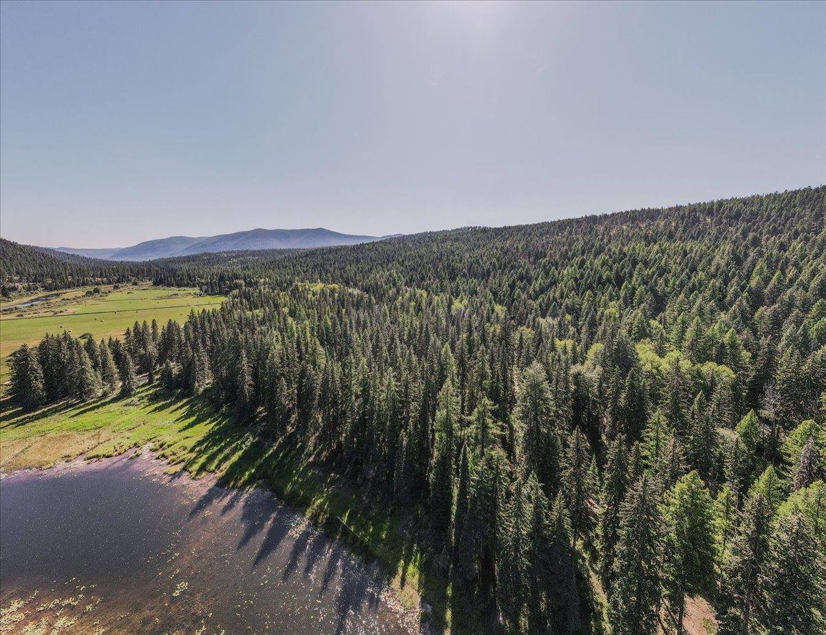 1455 Old Tally Lake Road, Whitefish, MT 59937