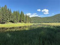 1455 Old Tally Lake Road, Whitefish, MT 59937