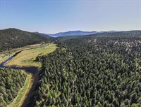 1455 Old Tally Lake Road, Whitefish, MT 59937