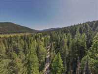 1455 Old Tally Lake Road, Whitefish, MT 59937