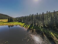 1455 Old Tally Lake Road, Whitefish, MT 59937