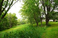 E6924 Nyhus ROAD, Westby, WI 54667