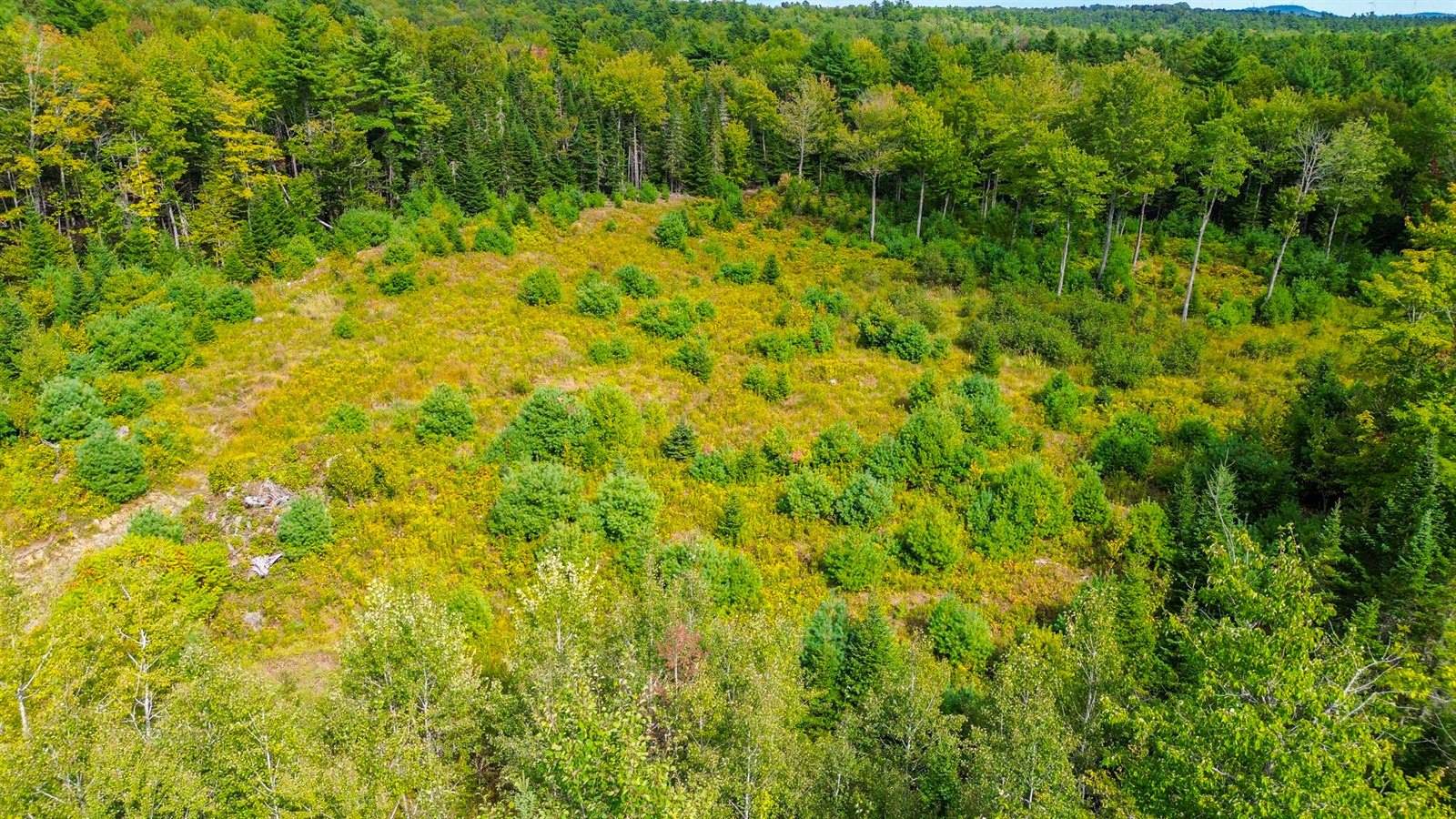 Lot 14 Wildwood Estates Drive, Holden, ME 04429