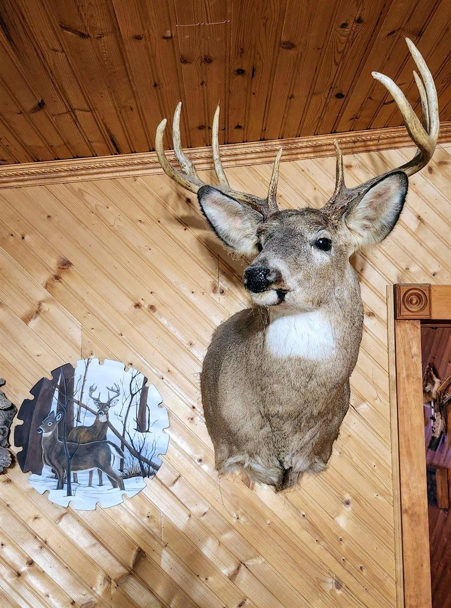 16597 County Hwy H, Marshall, WI 53581