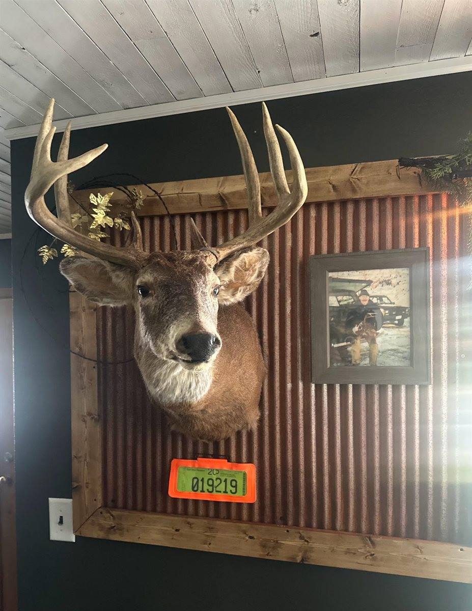 16597 County Hwy H, Marshall, WI 53581