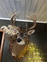 16597 County Hwy H, Marshall, WI 53581