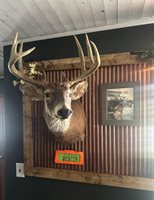 16597 County Hwy H, Marshall, WI 53581