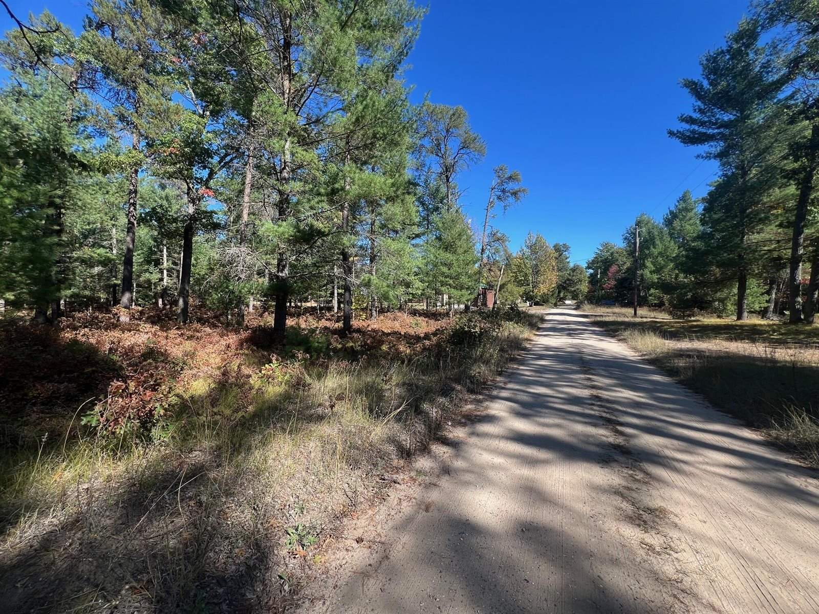 V/L L18-21 Monroe Avenue, Grayling, MI 49738