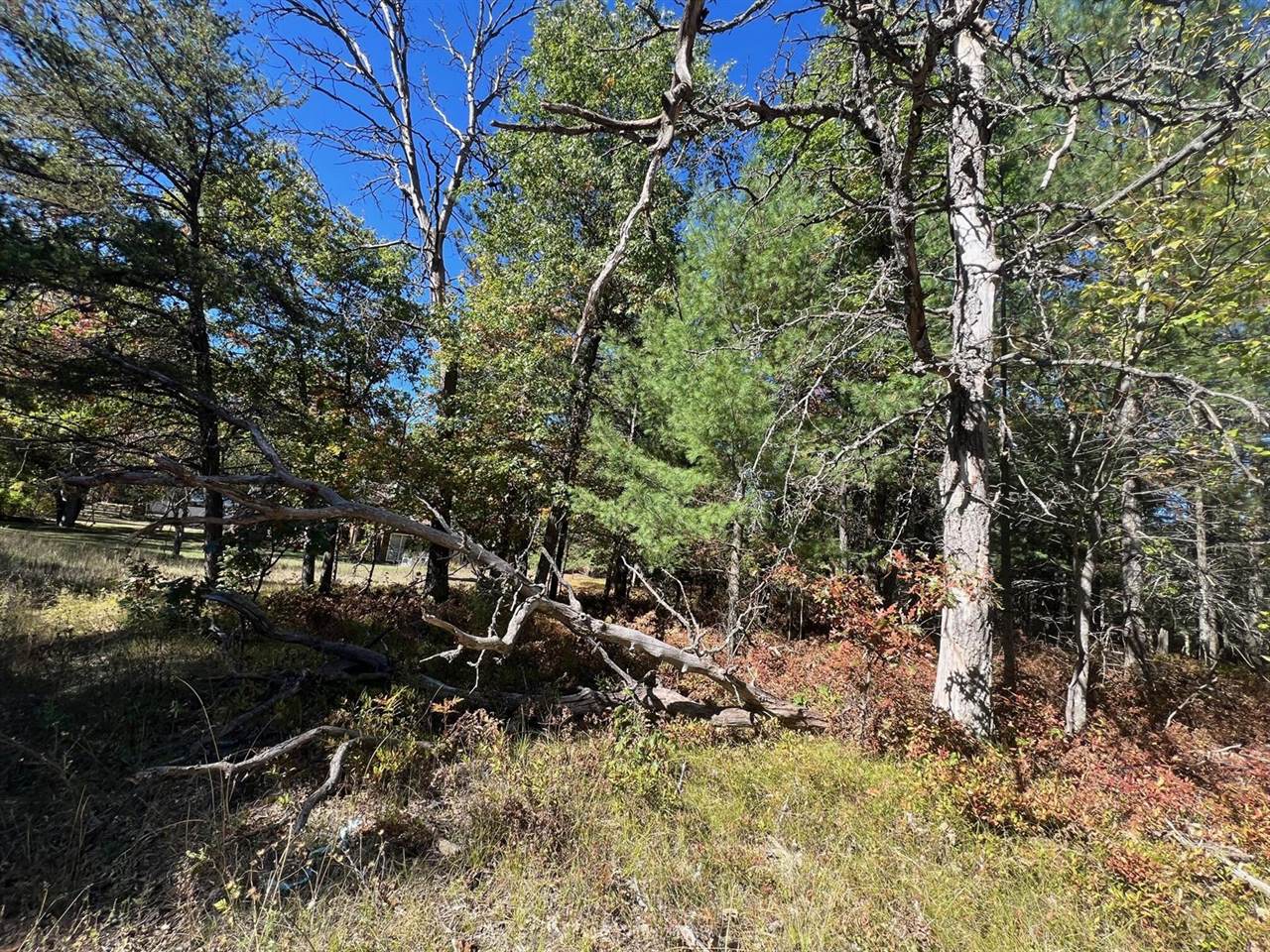 V/L L18-21 Monroe Avenue, Grayling, MI 49738