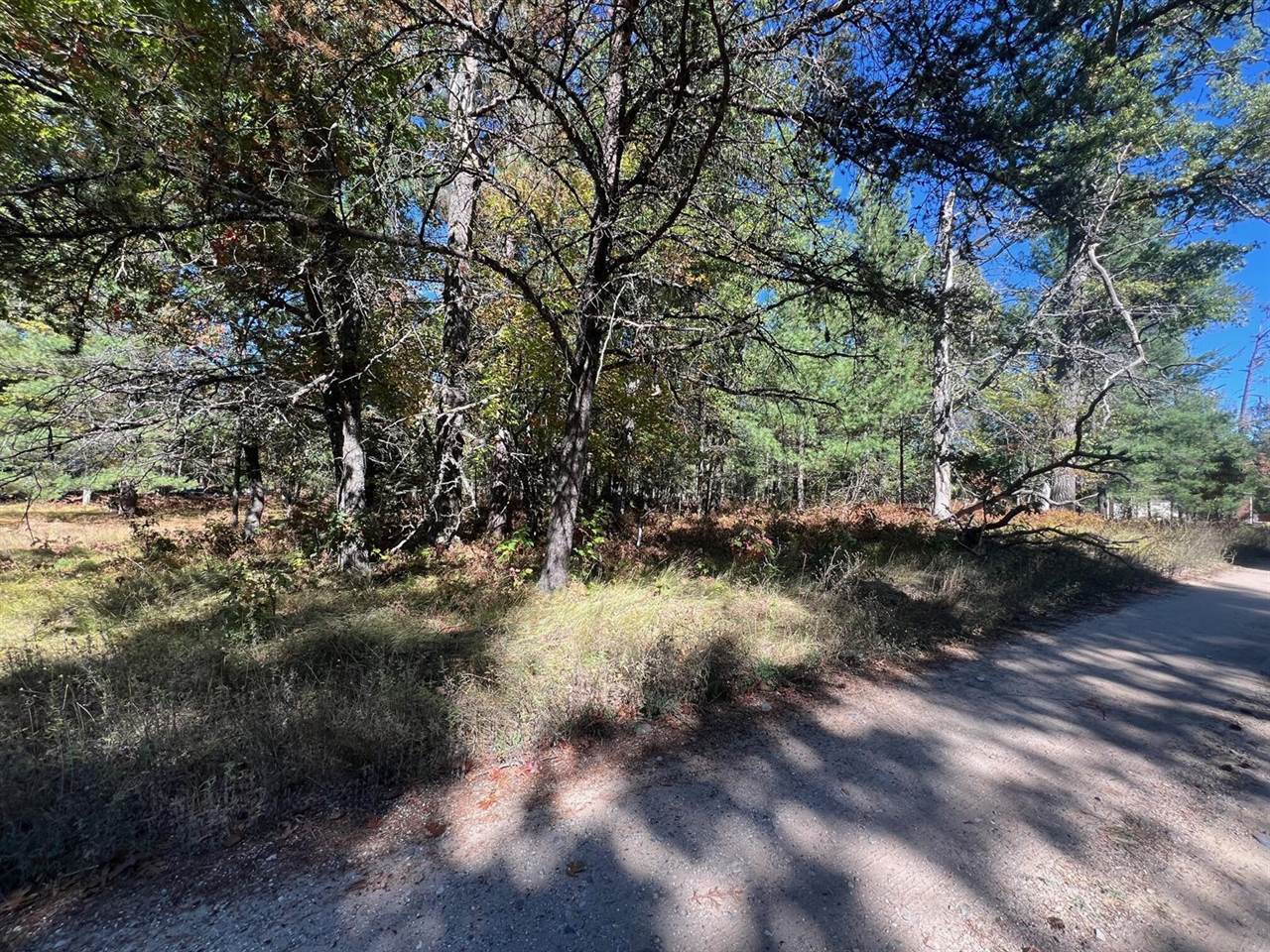 V/L L18-21 Monroe Avenue, Grayling, MI 49738