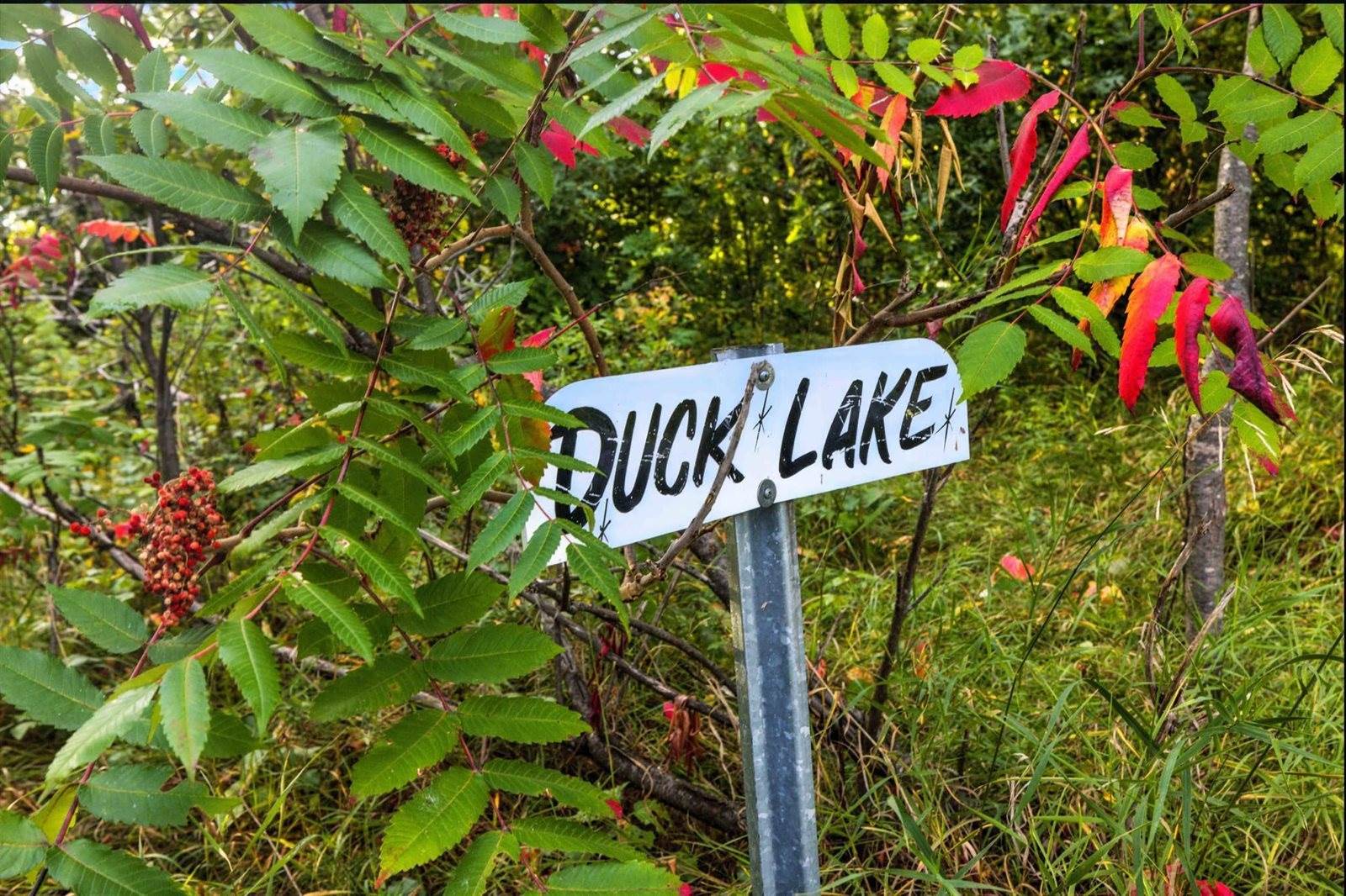 34221 West Shore Drive, Crosslake, MN 56442