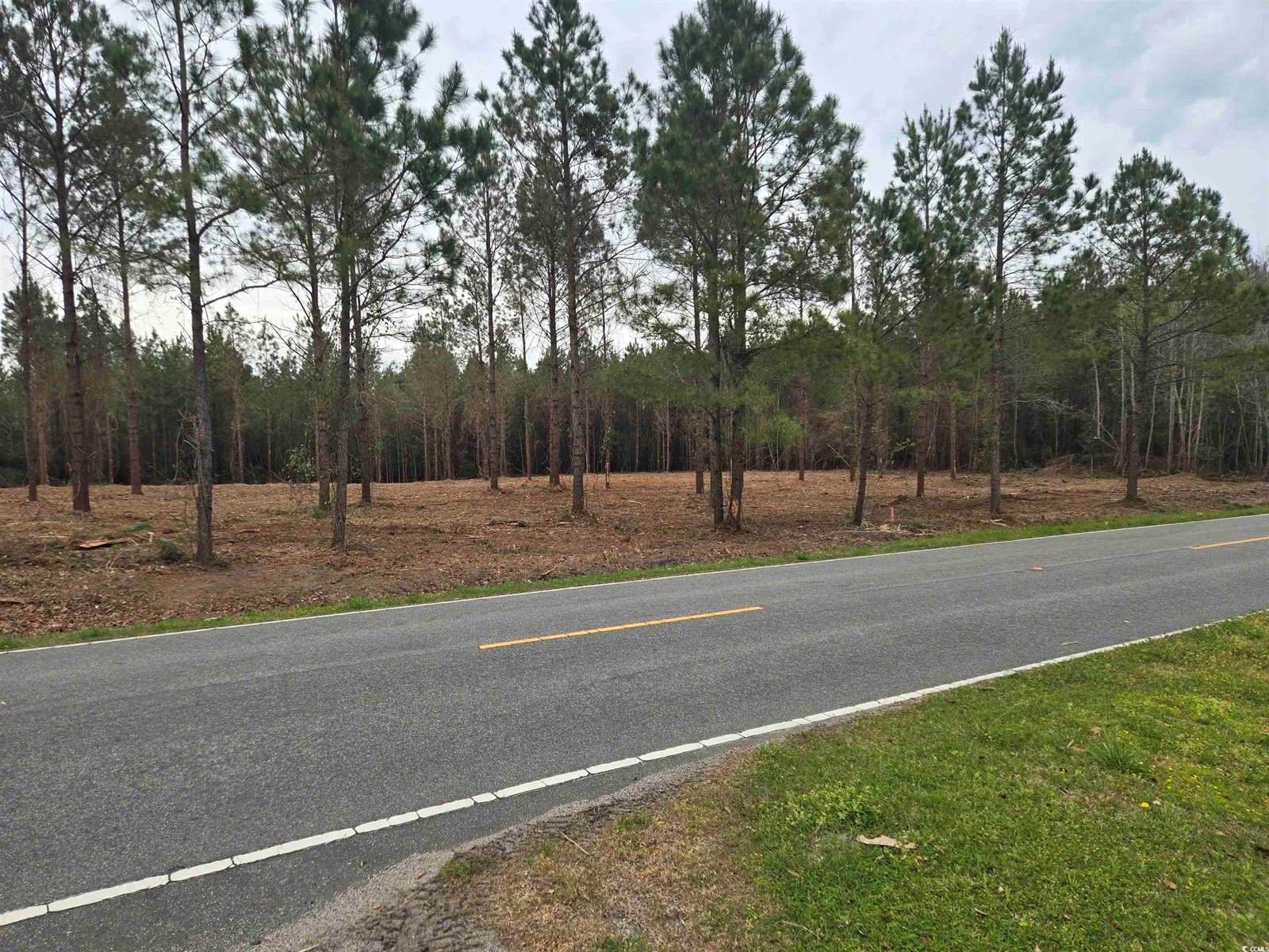 Tbd Oak Dale Rd., Loris, SC 29569