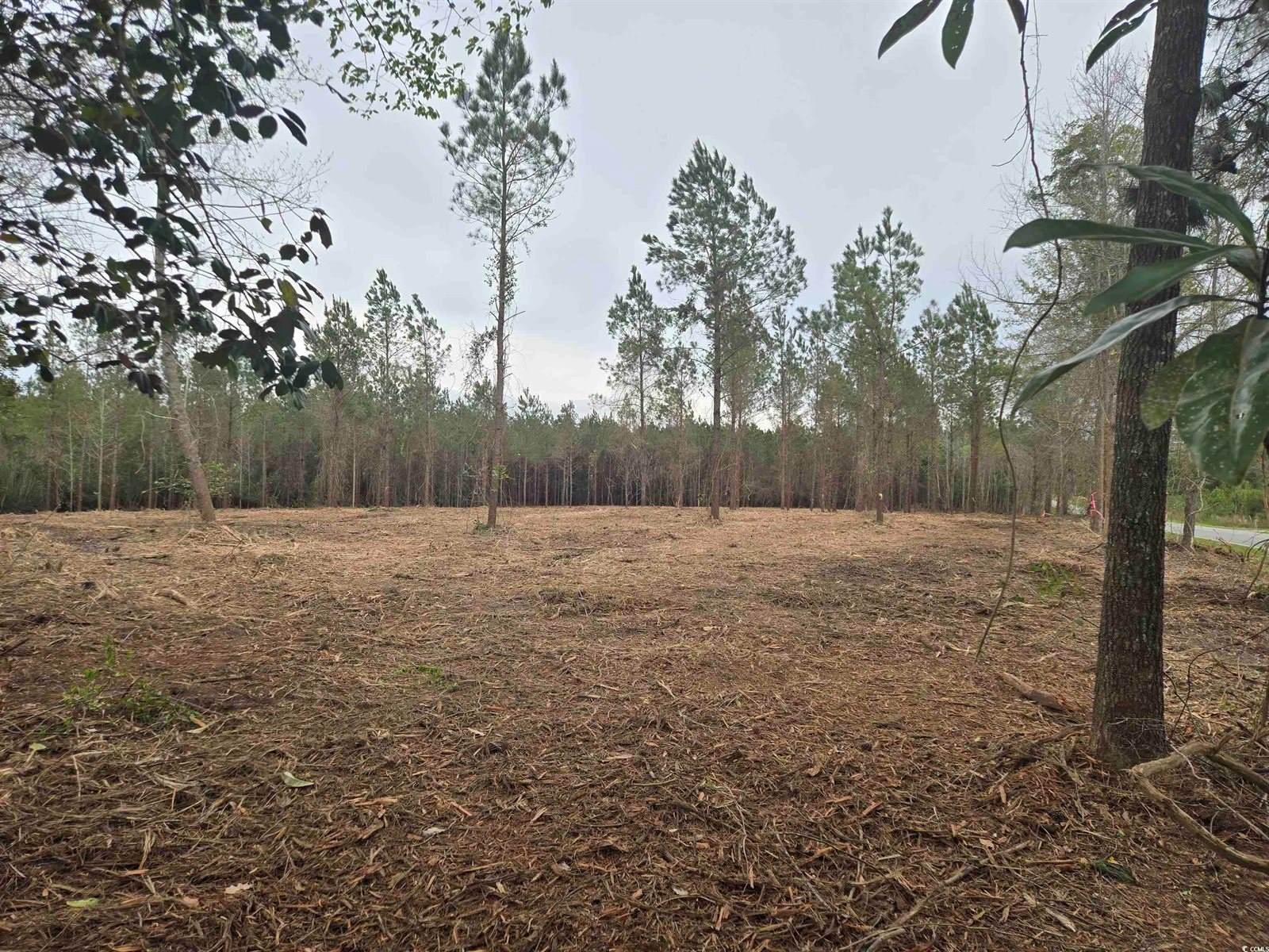 Tbd Oak Dale Rd., Loris, SC 29569