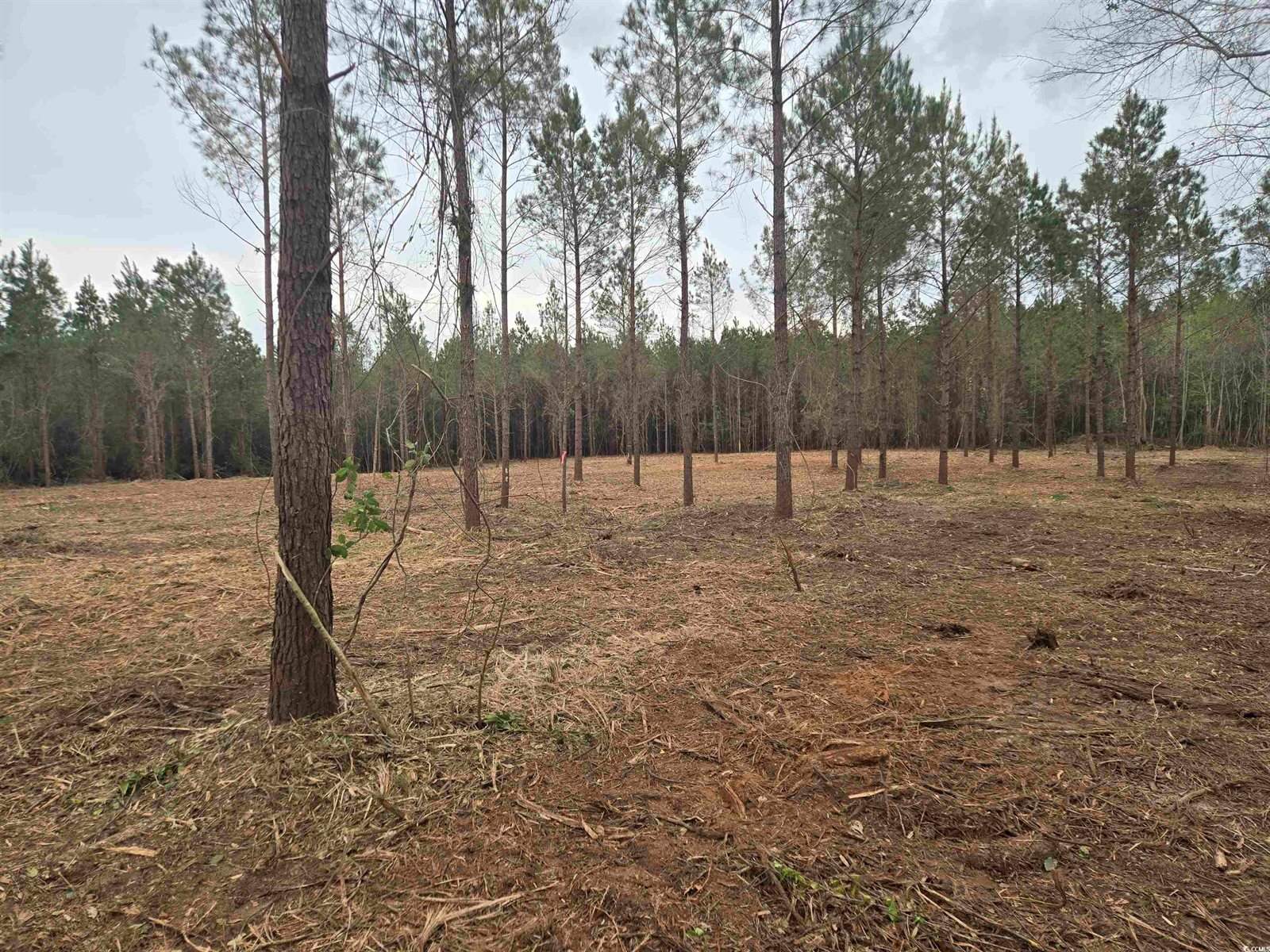 Tbd Oak Dale Rd., Loris, SC 29569