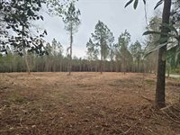 Tbd Oak Dale Rd., Loris, SC 29569