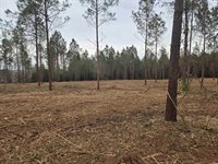 Tbd Oak Dale Rd., Loris, SC 29569