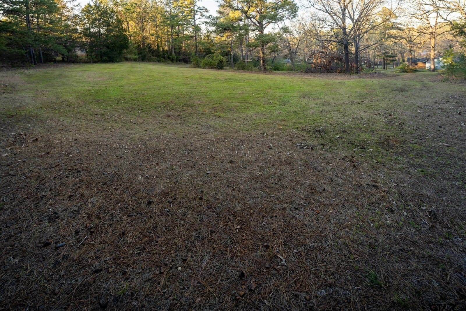 10733 CR 4150, Tyler, TX 75704