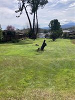 18475 Kentwood Place, Hidden Valley Lake, CA 95467