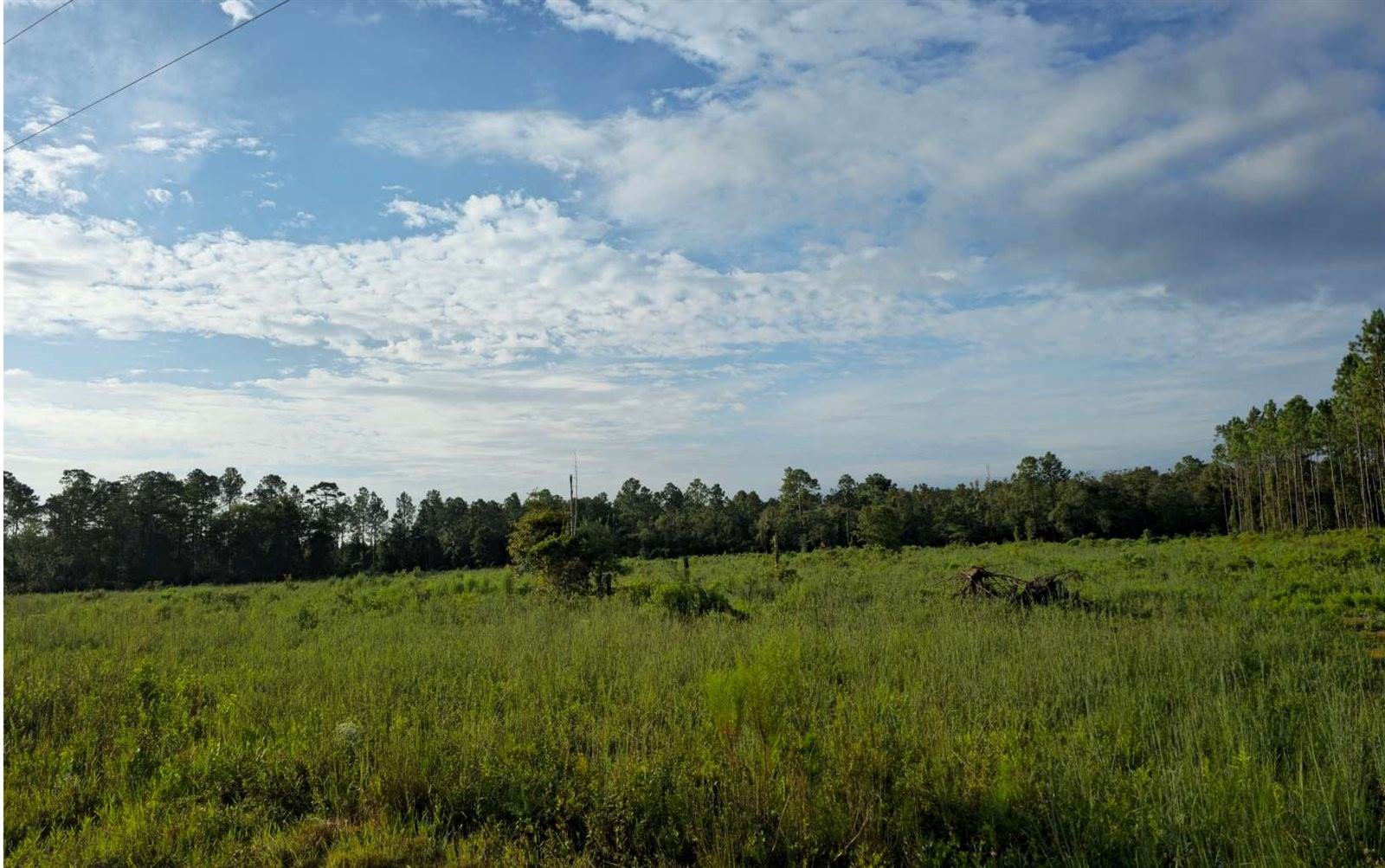 TBD SE Family Rd, Lake City, FL 32025