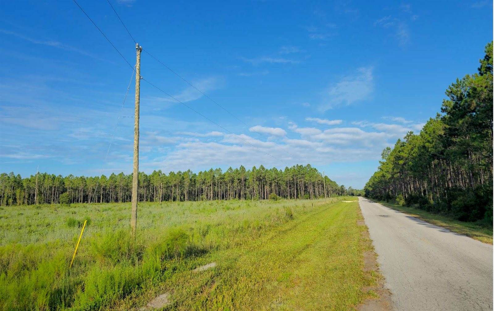 TBD SE Family Rd, Lake City, FL 32025